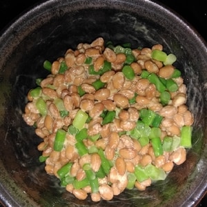 にんにくの芽の納豆